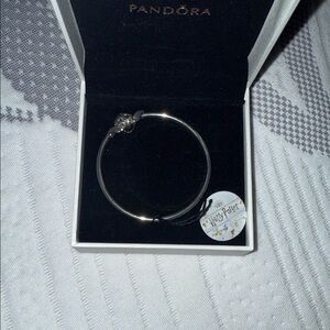 Pandora bracelet